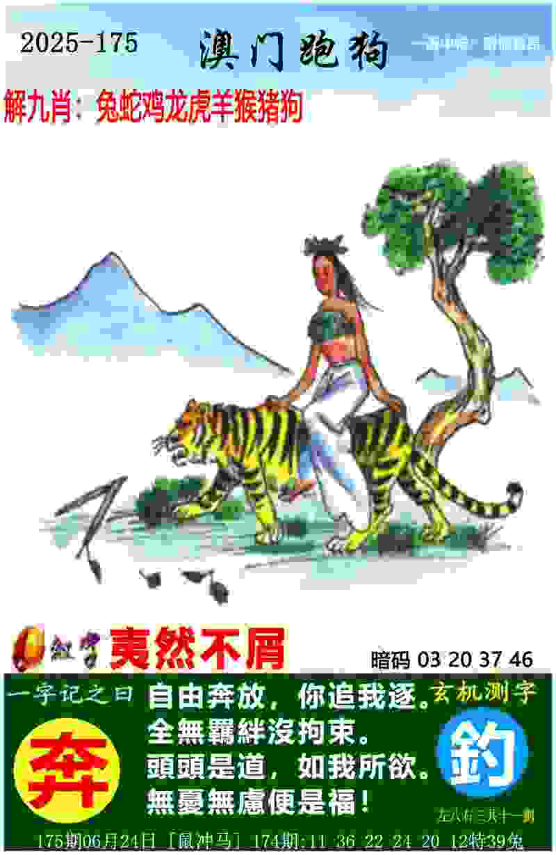上海5月举办四项新兴运动奥运资格赛